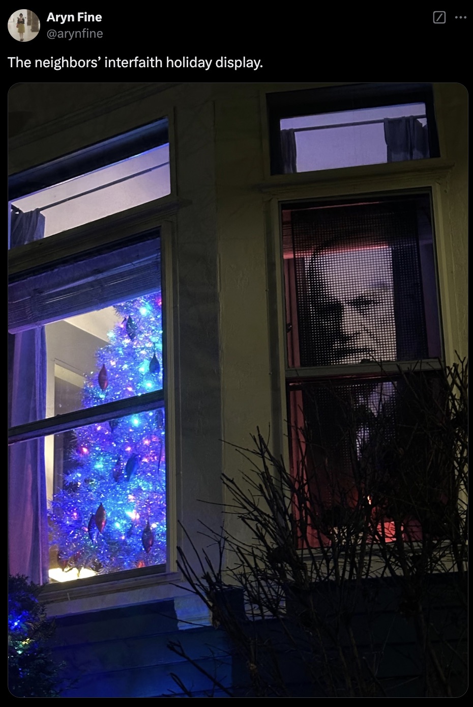 window - Aryn Fine The neighbors' interfaith holiday display.